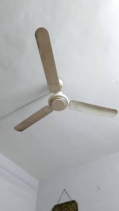 Royal Ceiling fan in 99.99% copper. 10/10