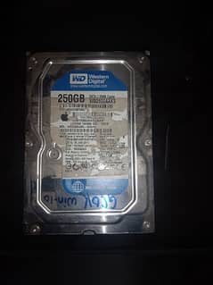250 Wd hard disk for sale