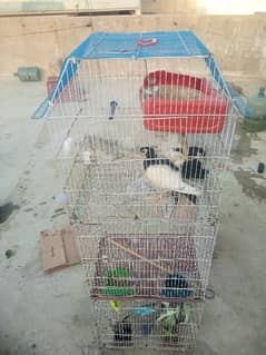 cage 3 portion for sale
