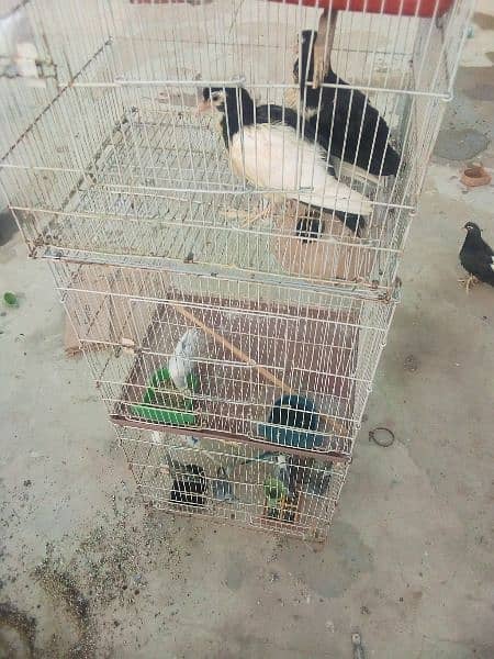 cage 3 portion for sale 1