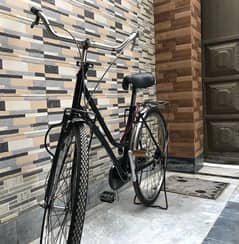 High quality Japani Cycle