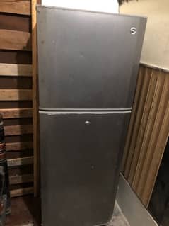 A good quality pel company fridge 0