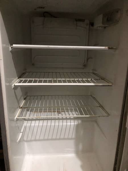 A good quality pel company fridge 4