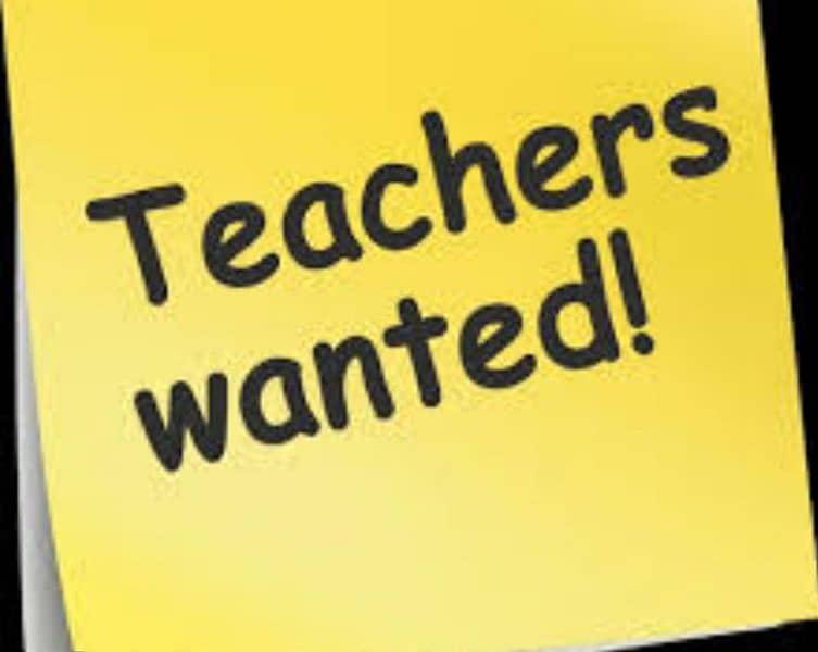 Wanted Lady Teacher 1