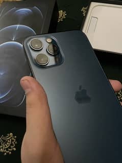 IPhone 12 pro max PTA Approved