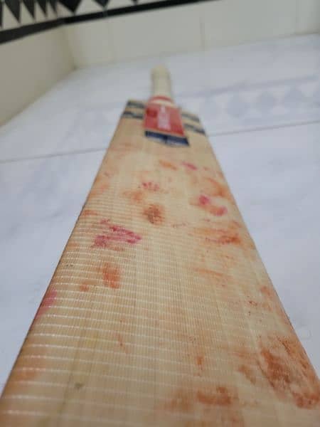 100% English Willow cricket bat 2.7Lbs 5