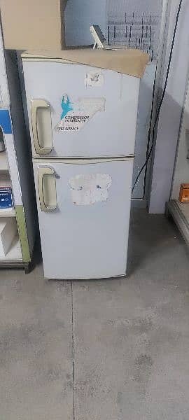 medium size fridge 2