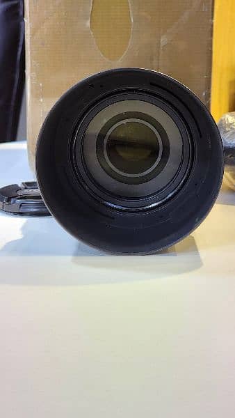 Nikon 55-300mm VR 1