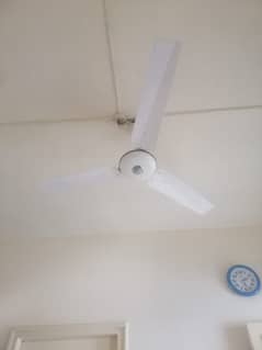 GFC ceiling fan  last summer used only