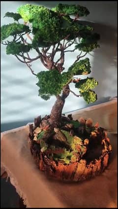 Diy bonsai tree