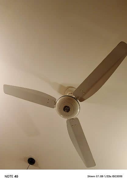 Royal ceiling fan cooper 0