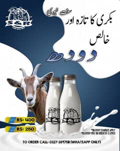 snr pure goat milk available