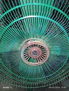 Pedistal & Ceiling Fan Fresh condition for sale in Lilliani سرگودھا