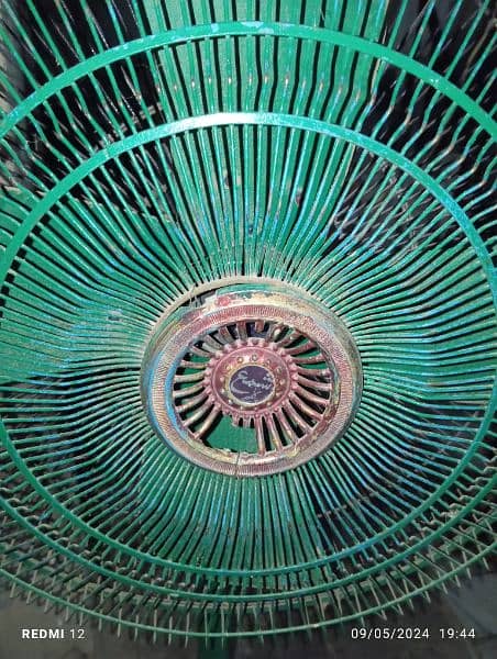 Pedistal & Ceiling Fan Fresh condition for sale in Lilliani سرگودھا 0