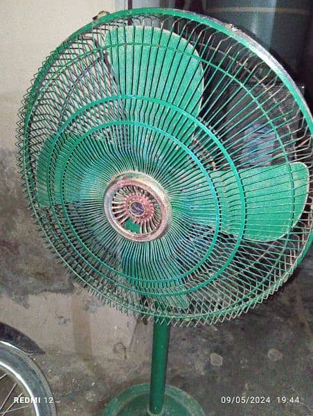 Pedistal & Ceiling Fan Fresh condition for sale in Lilliani سرگودھا 1