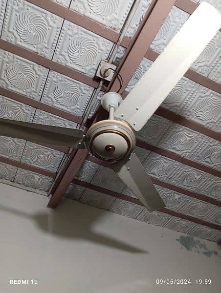 Pedistal & Ceiling Fan Fresh condition for sale in Lilliani سرگودھا 3