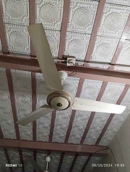 Pedistal & Ceiling Fan Fresh condition for sale in Lilliani سرگودھا 4