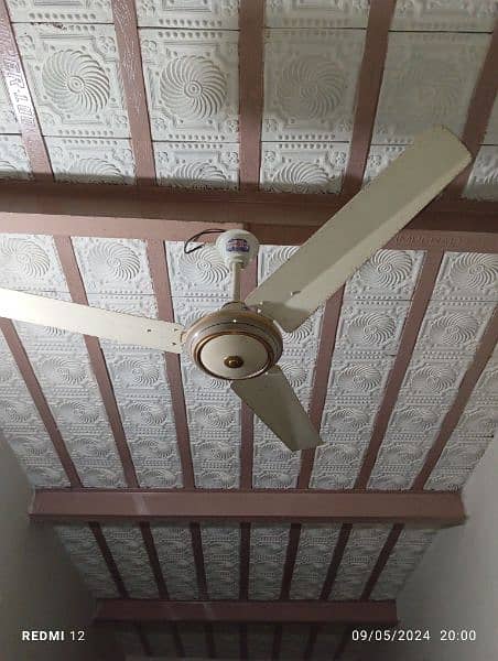 Pedistal & Ceiling Fan Fresh condition for sale in Lilliani سرگودھا 5