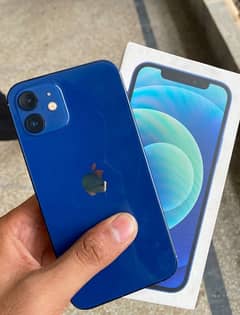 Iphone 12 PTA Approved 128 GB For Sale