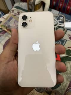 IPhone 12 dual PTA Approved
