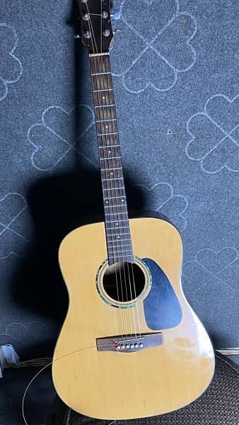 Fender Semi acoustic Guitar 0