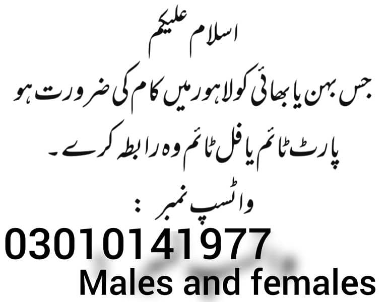 required staff for males and females 0