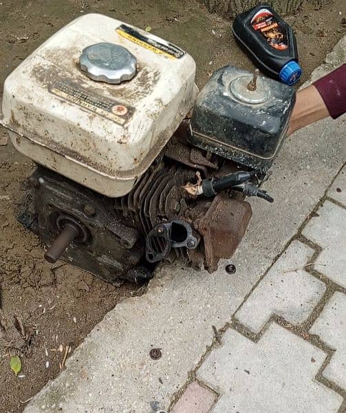 engine 5.5 hp 5