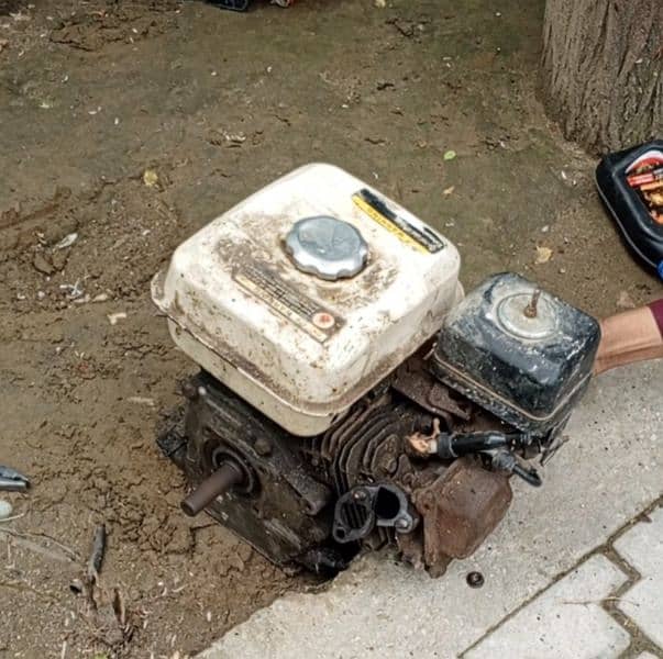 engine 5.5 hp 6
