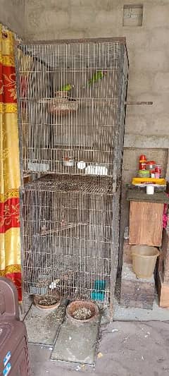 Heavy cages for Grey parrot Pahari