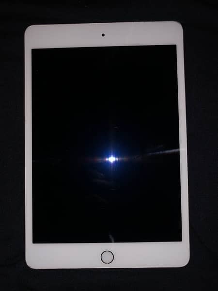 iPad mini 4 16gb with box 1