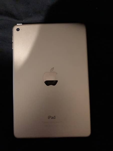 iPad mini 4 16gb with box 2