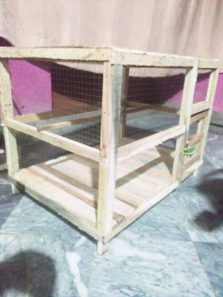 hen's cage 3