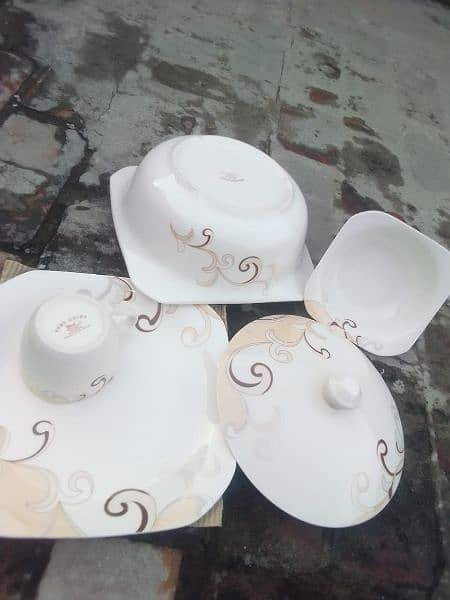 bone chine pather dinner set 60 pices 1