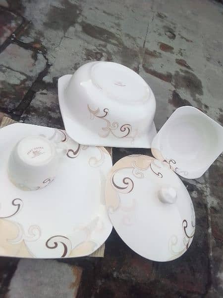bone chine pather dinner set 60 pices 2