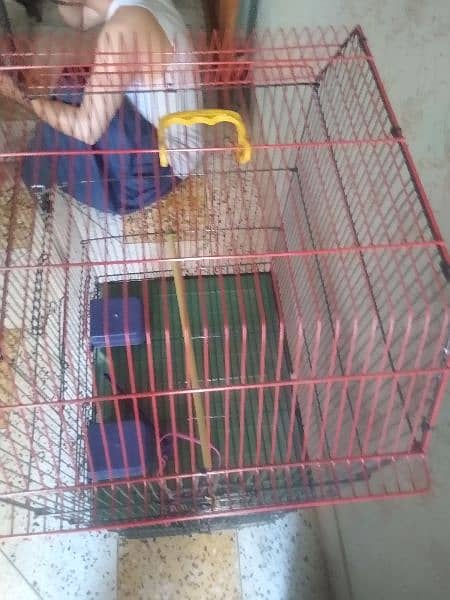 cage for urgent sale or Whatsapp number 03353820736 3