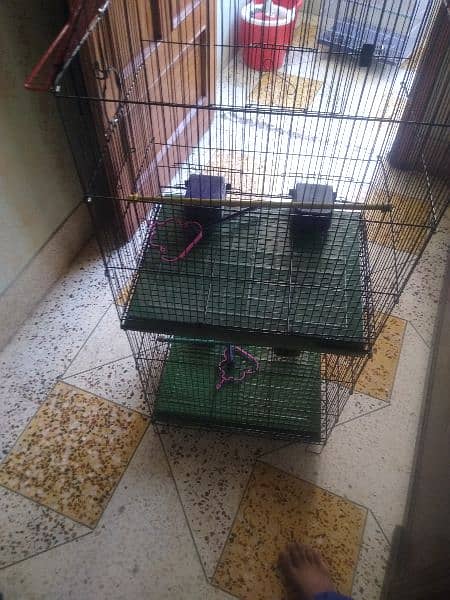 cage for urgent sale or Whatsapp number 03353820736 4