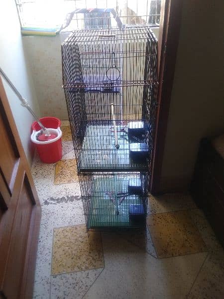 cage for urgent sale or Whatsapp number 03353820736 5