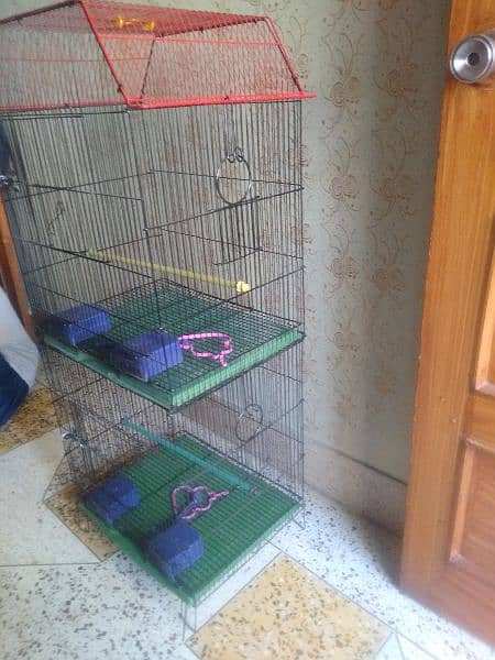 cage for urgent sale or Whatsapp number 03353820736 7