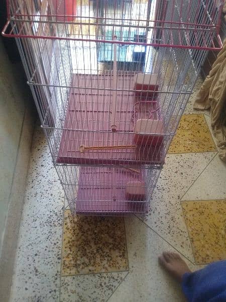 cage for urgent sale or Whatsapp number 03353820736 8