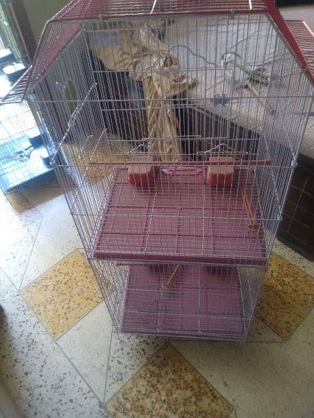 cage for urgent sale or Whatsapp number 03353820736 9