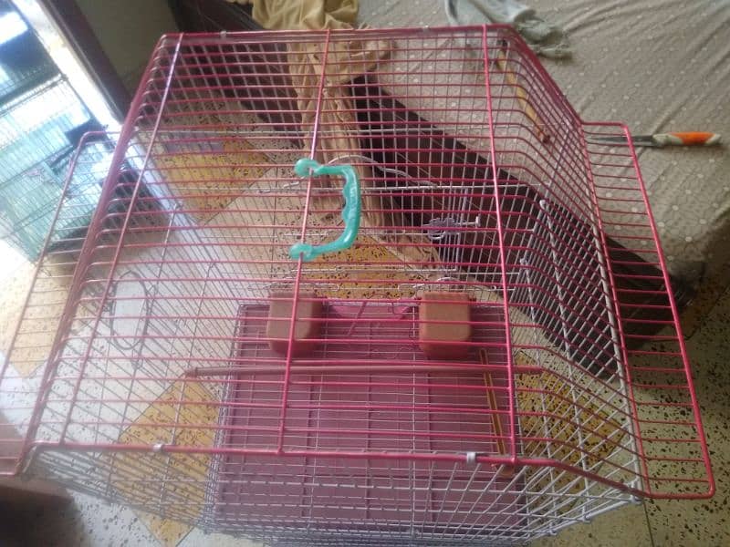 cage for urgent sale or Whatsapp number 03353820736 10