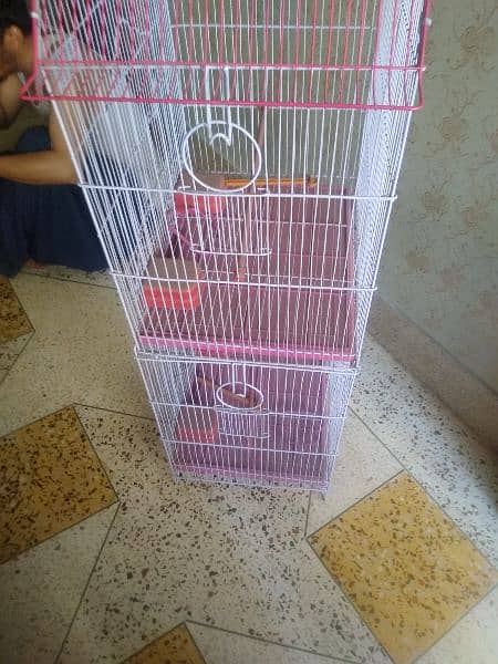 cage for urgent sale or Whatsapp number 03353820736 12