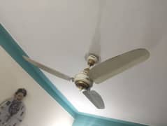 royal fan low electricity fan 70 wt new condition 5month use