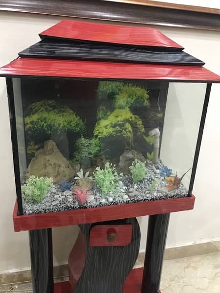 aquarium for sale 1