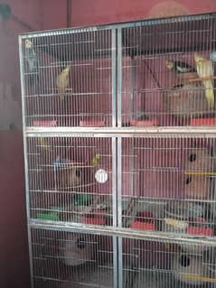 8 boxes cage