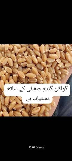 gandum/wheat available Lahore deliver
