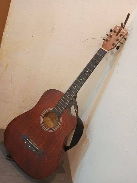 olive tree guitar 5