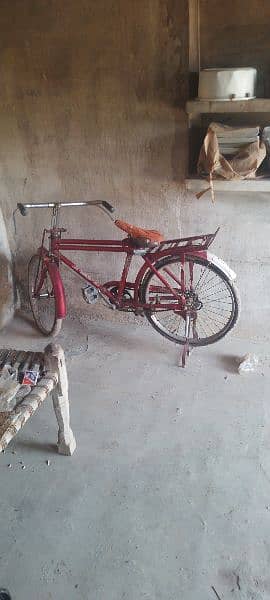 Sohrab bicycle 2