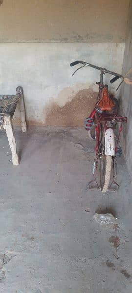 Sohrab bicycle 3