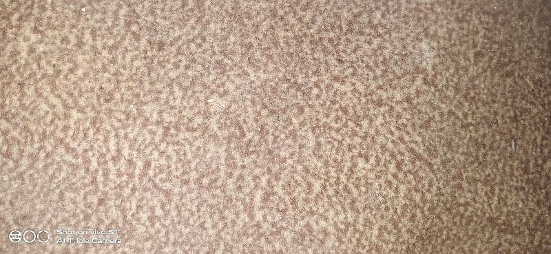 Used Carpet 5 Piece For Sale 35*40 0